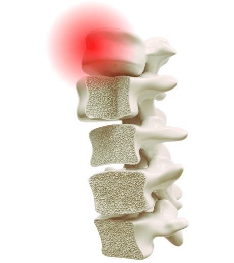 We take a holistic approach to health